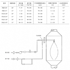 FM喷头